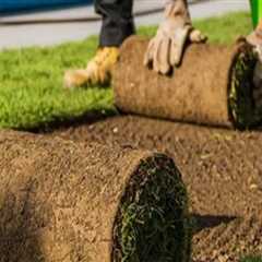 How Roofing Services Can Help Protect Newly Installed Sod and Landscaping Features