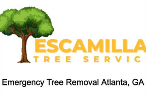 Emergency Tree Removal Atlanta, GA - Escamilla Tree Service - (404) 426-8613
