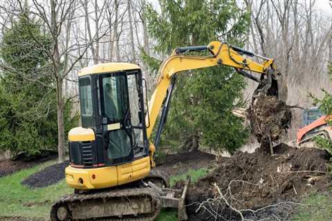 Essential Steps for Effective Tree Excavation
