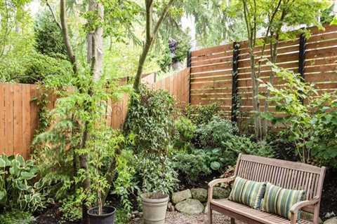 Enhancing Privacy Through Thoughtful Landscape Renovation