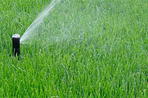 Optimal Timing for Watering Your Turf: A Guide to Effective Turf Management