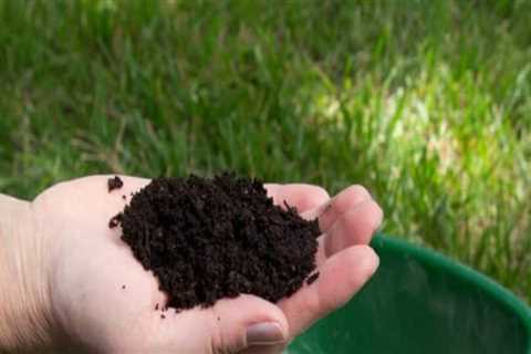 Essential Considerations for Choosing the Right Fertilizer in Turf Management