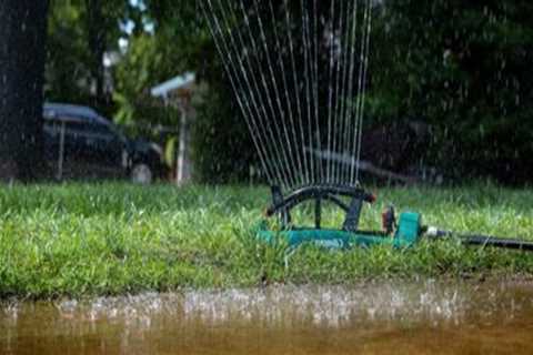 Effective Water Conservation Strategies for Healthy Turf Management