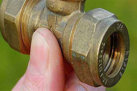 How Tree Safety Awareness Supports a Reliable Local Plumber in Livermore, CA
