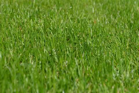 Lawn Care in Oregon: Improving Outdoor Spaces with Hardscaping and Reliable Maintenance