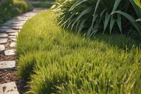 The Hidden Challenges of Using Grass Seed on Sloped Residential Landscapes