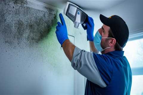 Why Mold Inspection Is Becoming a Key Step in Modern Property Improvement Projects