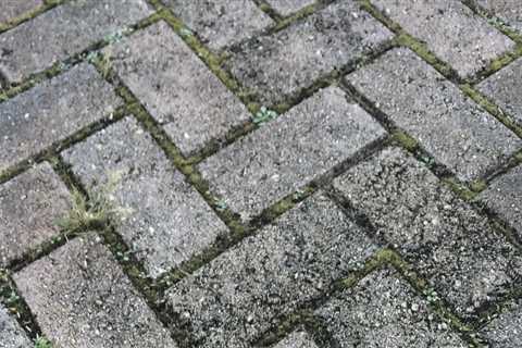 Paving Contractors in Orem, UT: Why Quality Paver Installation Matters