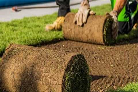 How Roofing Services Can Help Protect Newly Installed Sod and Landscaping Features