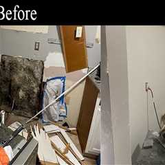 Mold Remediation: A Crucial Step Before South Salt Lake Renovations