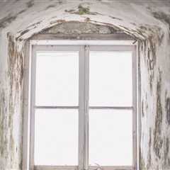Protect Your Investment: Mold Remediation Before Paver Installation