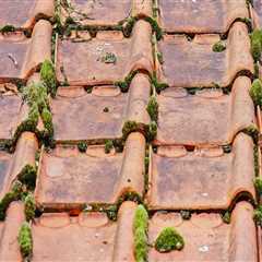 Extend Your Roof's Life with Attic Fans and Repairs