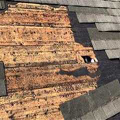 Protect Your Chicago Property with Quality Roofing and Restoration